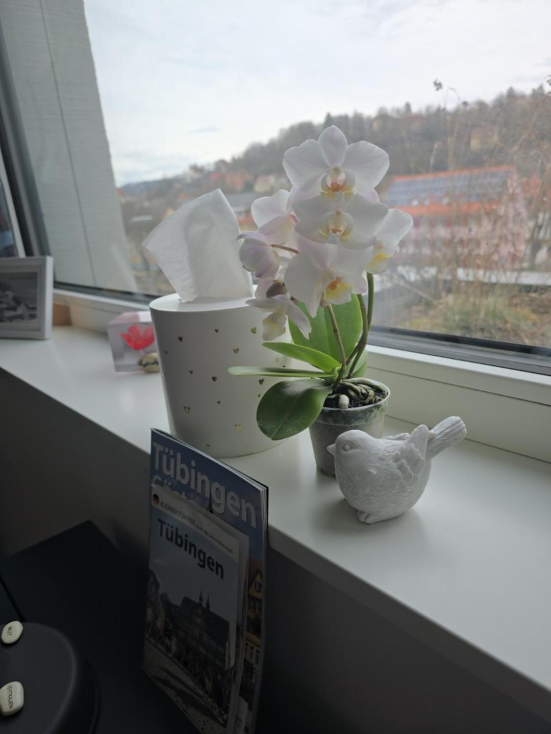 Stadtnahes Gaestezimmer Im Penthouse Bei Esi Tybinga Zewnętrze zdjęcie